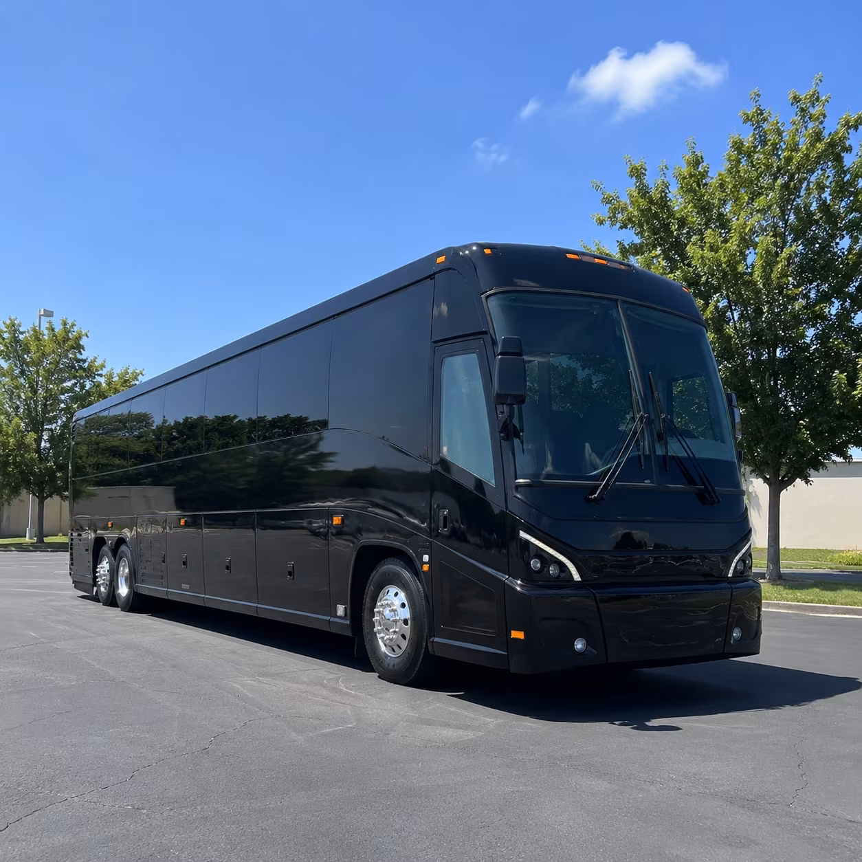 norfolk 56 passenger charter bus